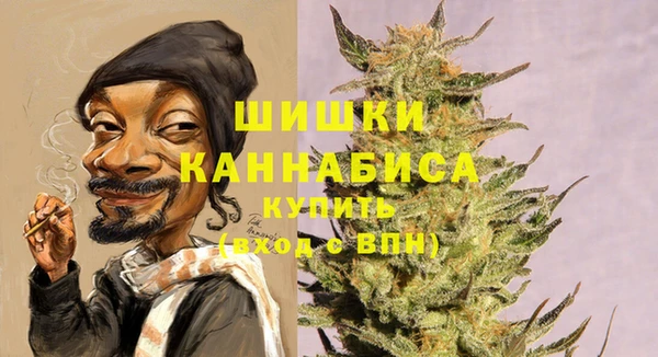 стафф Гусев