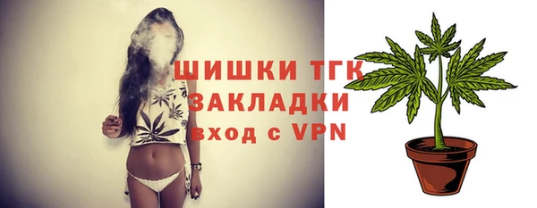 тгк Дмитровск