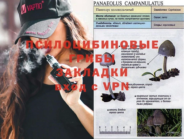 мескалин Гусиноозёрск