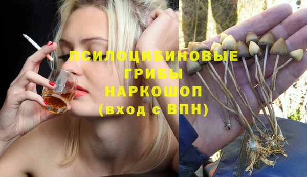 стафф Гусев