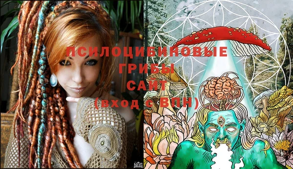 гидропоника Елизово