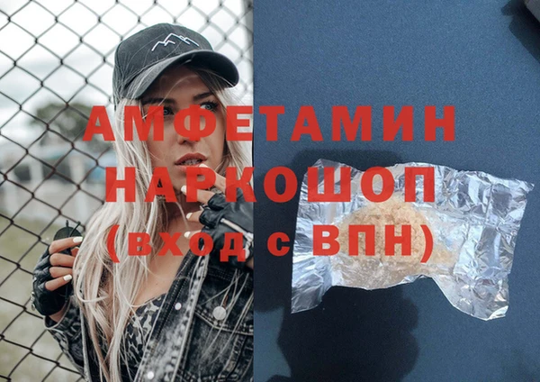 стафф Гусев