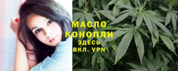 сатива Дмитриев