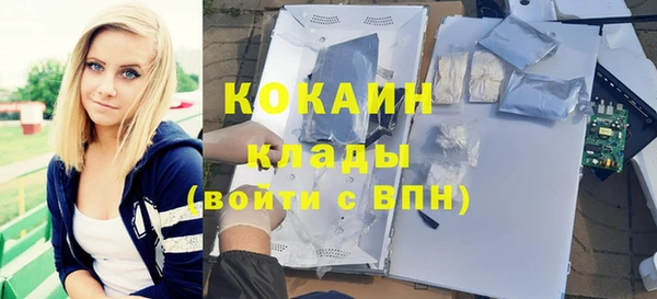 стафф Гусев