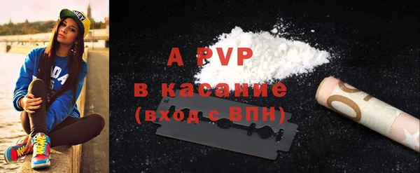 стафф Гусев
